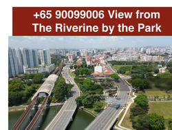 The Riverine By The Park (D12), Apartment #156975872